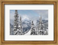 Framed North Cascades in Winter I