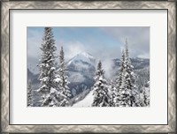 Framed North Cascades in Winter I