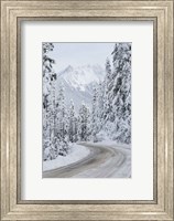 Framed Mount Baker Highway II