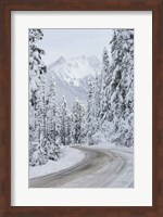 Framed Mount Baker Highway II