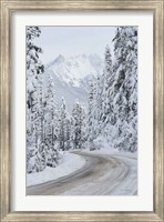 Framed Mount Baker Highway II