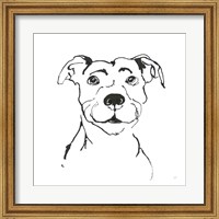 Framed Line Dog Pitbull I
