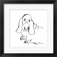 Framed Line Dog Basset Hound