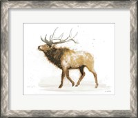 Framed Elk v.2 Full