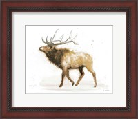 Framed Elk v.2 Full