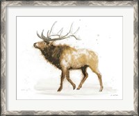 Framed Elk v.2 Full