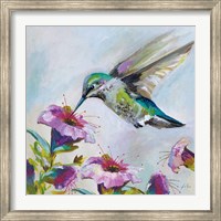 Framed Hummingbird II Florals