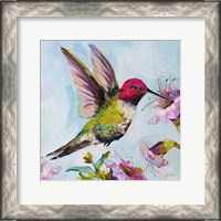 Framed Hummingbird I Florals