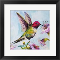 Framed Hummingbird I Florals