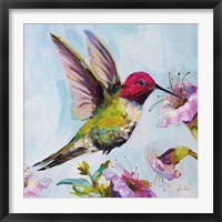 Framed 'Hummingbird I Florals' border=