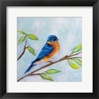 Framed Bluebird