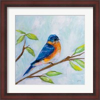 Framed Bluebird