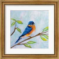 Framed Bluebird