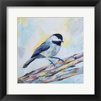 Framed Chickadee