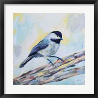 Framed Chickadee