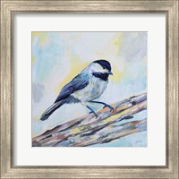 Framed Chickadee