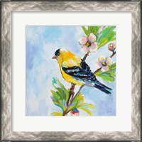 Framed Golden Finch