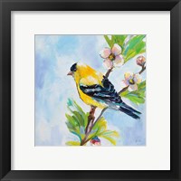 Framed 'Golden Finch' border=