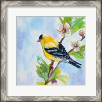 Framed Golden Finch