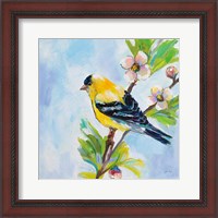 Framed Golden Finch