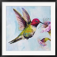 Framed Hummingbird I