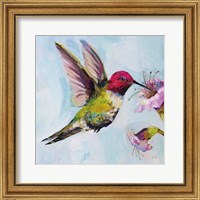 Framed Hummingbird I