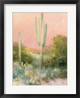 Sunrise Desert II Framed Print