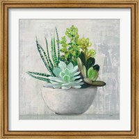 Framed Succulent Still Life II