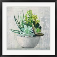 Succulent Still Life II Framed Print