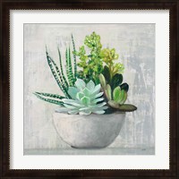 Framed Succulent Still Life II