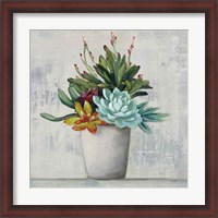 Framed Succulent Still Life I