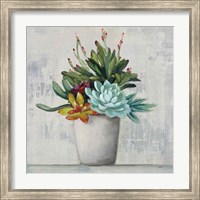 Framed Succulent Still Life I