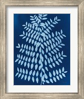 Framed 'Enchanted Cyanotype VIII' border=