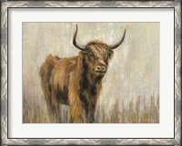 Framed Highland Mountain Cow