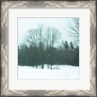 Framed Snowfall