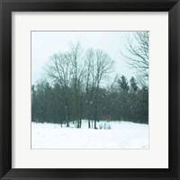 Framed Snowfall