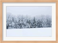 Framed Snowshoe Hill