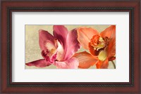 Framed Two Orchids