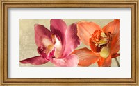 Framed Two Orchids
