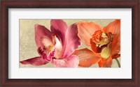 Framed Two Orchids