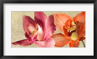 Framed Two Orchids