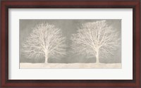 Framed Trees on Grey