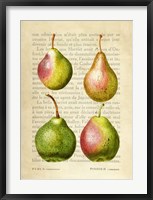 Framed Pears, After Redoute