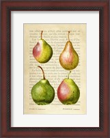 Framed Pears, After Redoute