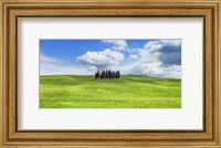 Framed Cypresses, Val d'Orcia, Tuscany (detail)
