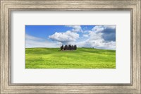 Framed Cypresses, Val d'Orcia, Tuscany (detail)