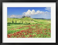 Framed Farmhouse with Cypresses and Poppies, Val d'Orcia, Tuscany