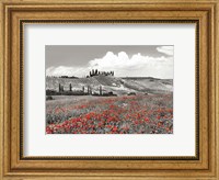 Framed Farmhouse with Cypresses and Poppies, Val d'Orcia, Tuscany (BW)
