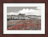 Framed Farmhouse with Cypresses and Poppies, Val d'Orcia, Tuscany (BW)