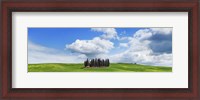 Framed Cypresses, Val d'Orcia, Tuscany